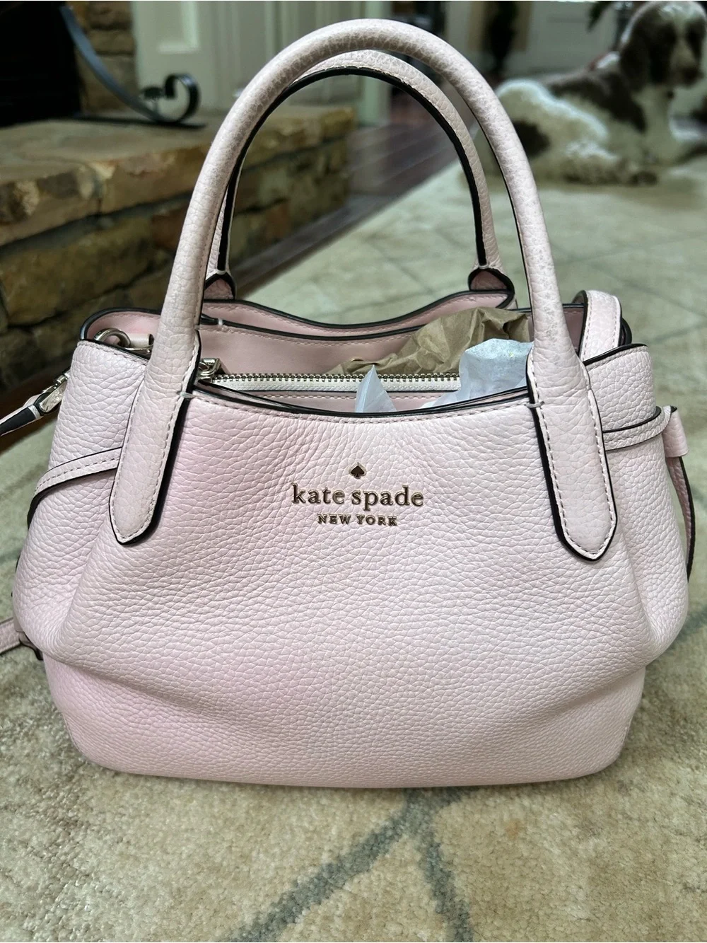 Kate Spade Small Dumpling Light Pink with wallet